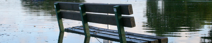 Flood damages